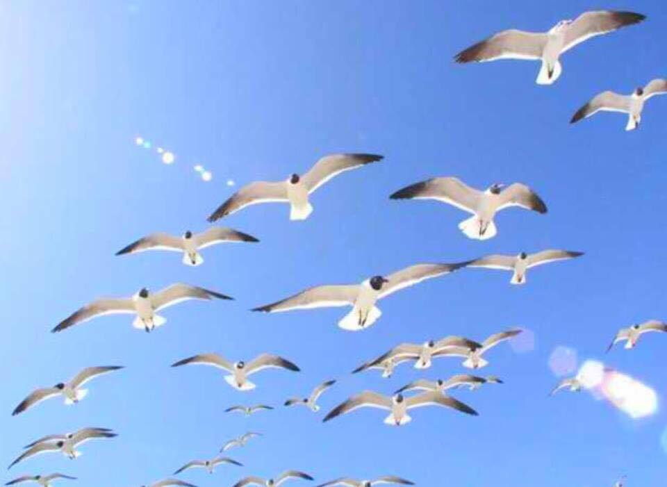 שינוי זה עולם ישן