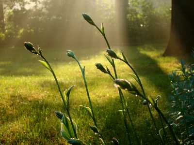 תודעה חדשה כהרף עין